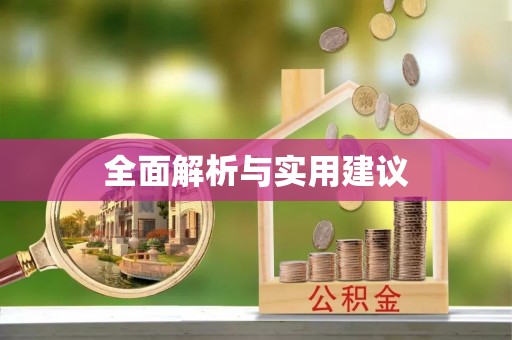茅箭全面解析与实用建议