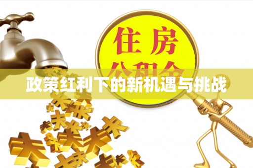 茅箭政策红利下的新机遇与挑战