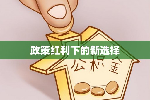 茅箭政策红利下的新选择