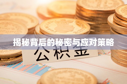 茅箭揭秘背后的秘密与应对策略