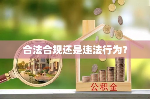 茅箭合法合规还是违法行为？