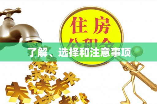 茅箭了解、选择和注意事项
