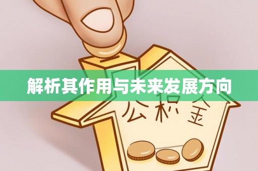 茅箭解析其作用与未来发展方向