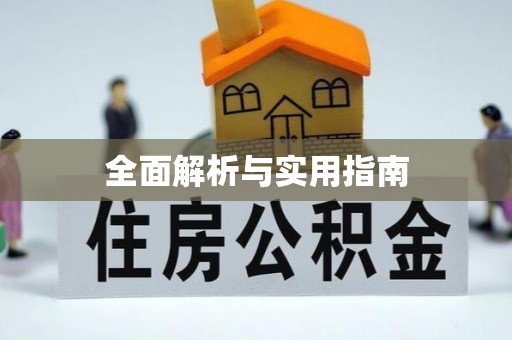 茅箭全面解析与实用指南