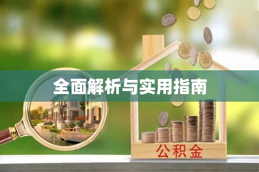 茅箭全面解析与实用指南