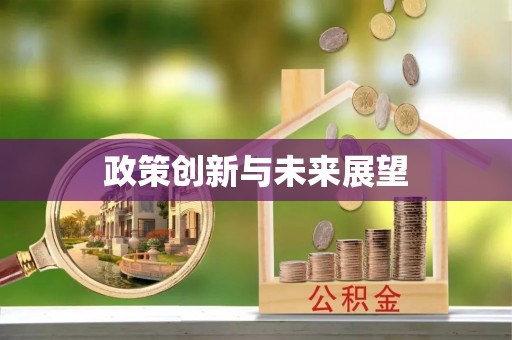 茅箭政策创新与未来展望
