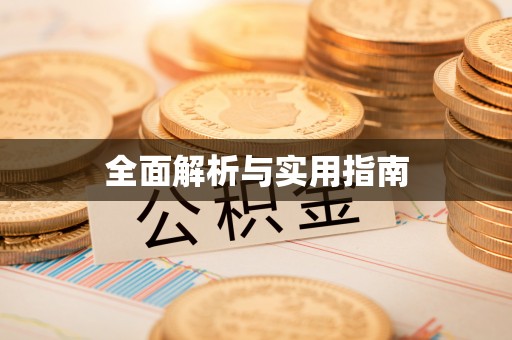 茅箭全面解析与实用指南