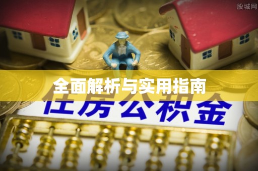 茅箭全面解析与实用指南