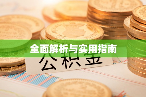茅箭全面解析与实用指南