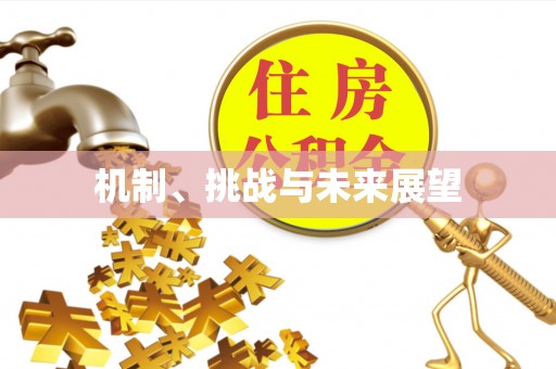 茅箭机制、挑战与未来展望